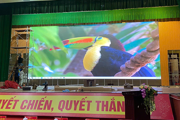 Lắp đặt màn led tại Thanh Hóa